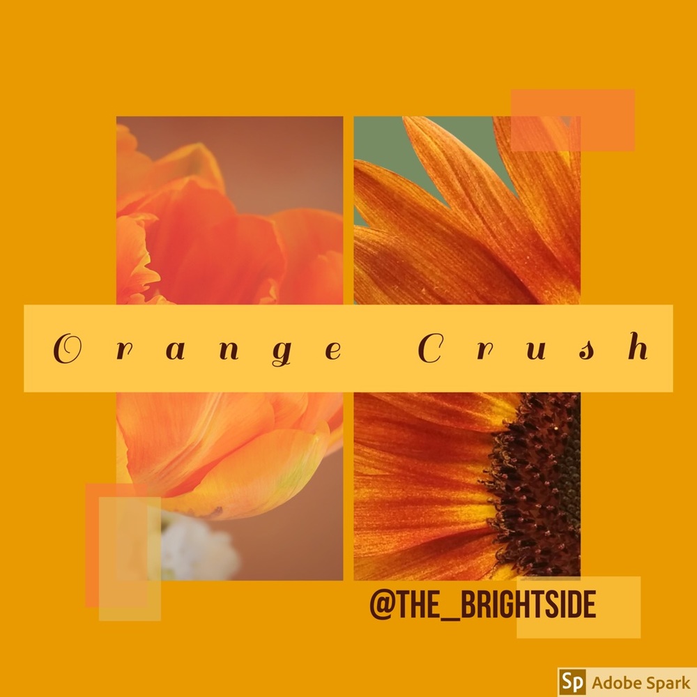 🧡🧡🧡🧡🧡🧡